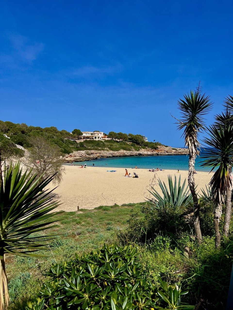 discover this new luxury villa for rent in mallorca southeast with Anderson West