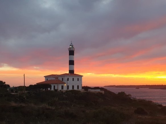 new land for sale in Portocolom