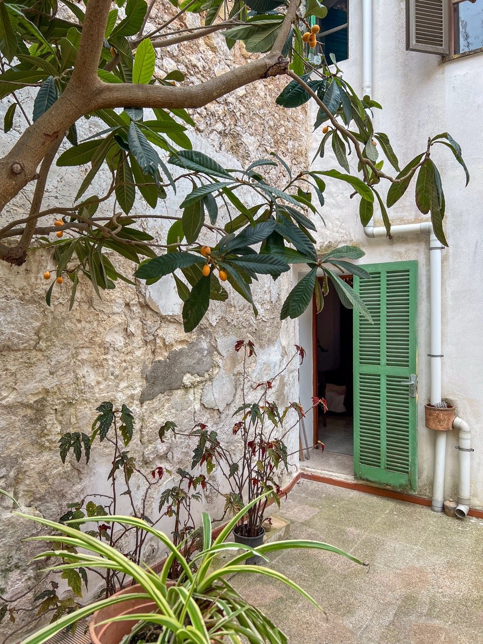 home for rent in felanitx perfect for a family and a large garden space