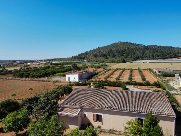 Rustic finca for sale in Porreres with vineyard and olive trees