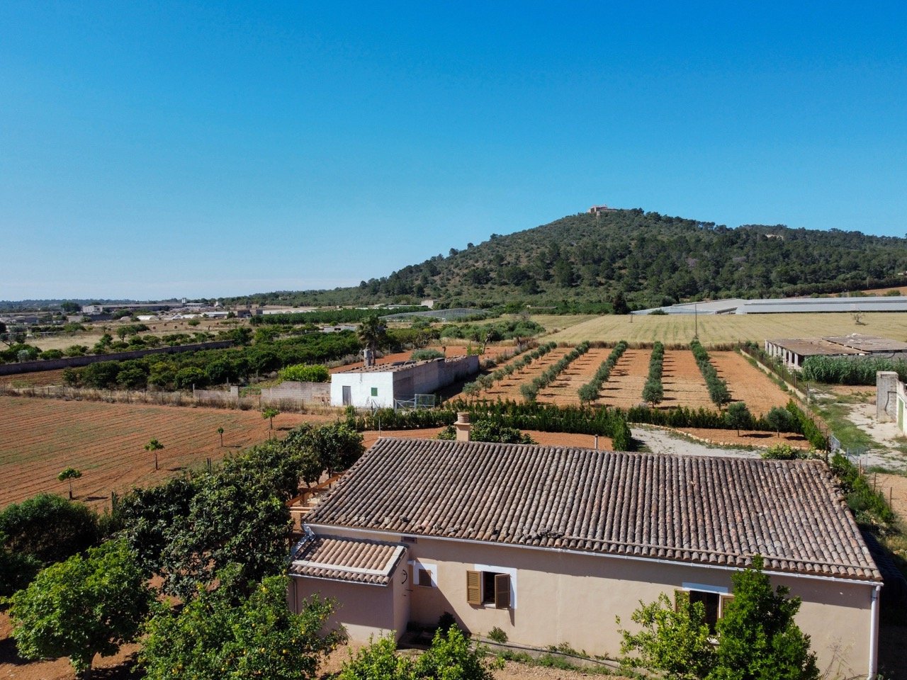 Rustic finca for sale in Porreres with vineyard and olive trees