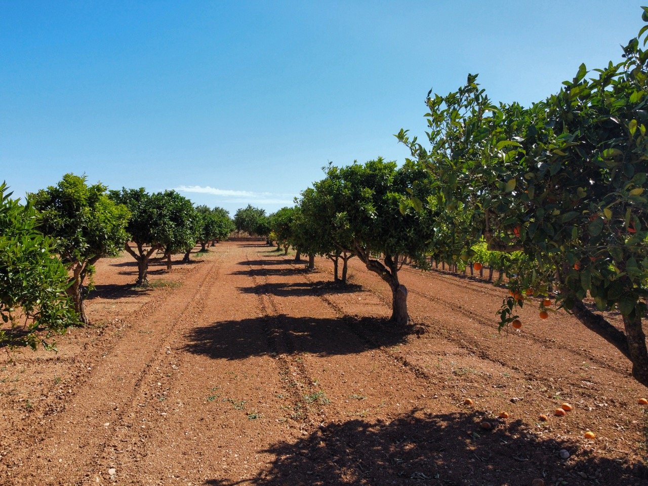 Spacious finca with terrace, ideal for Mediterranean lifestyle