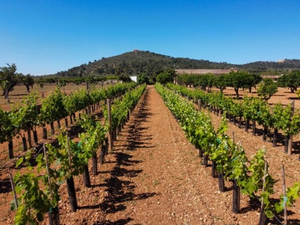 Rustic Finca For Sale in Porreres