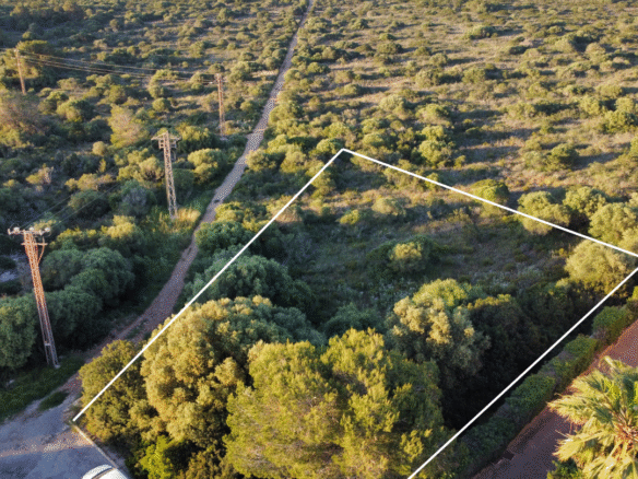 Dining and nature near Anderson West's investment land in southeast Mallorca