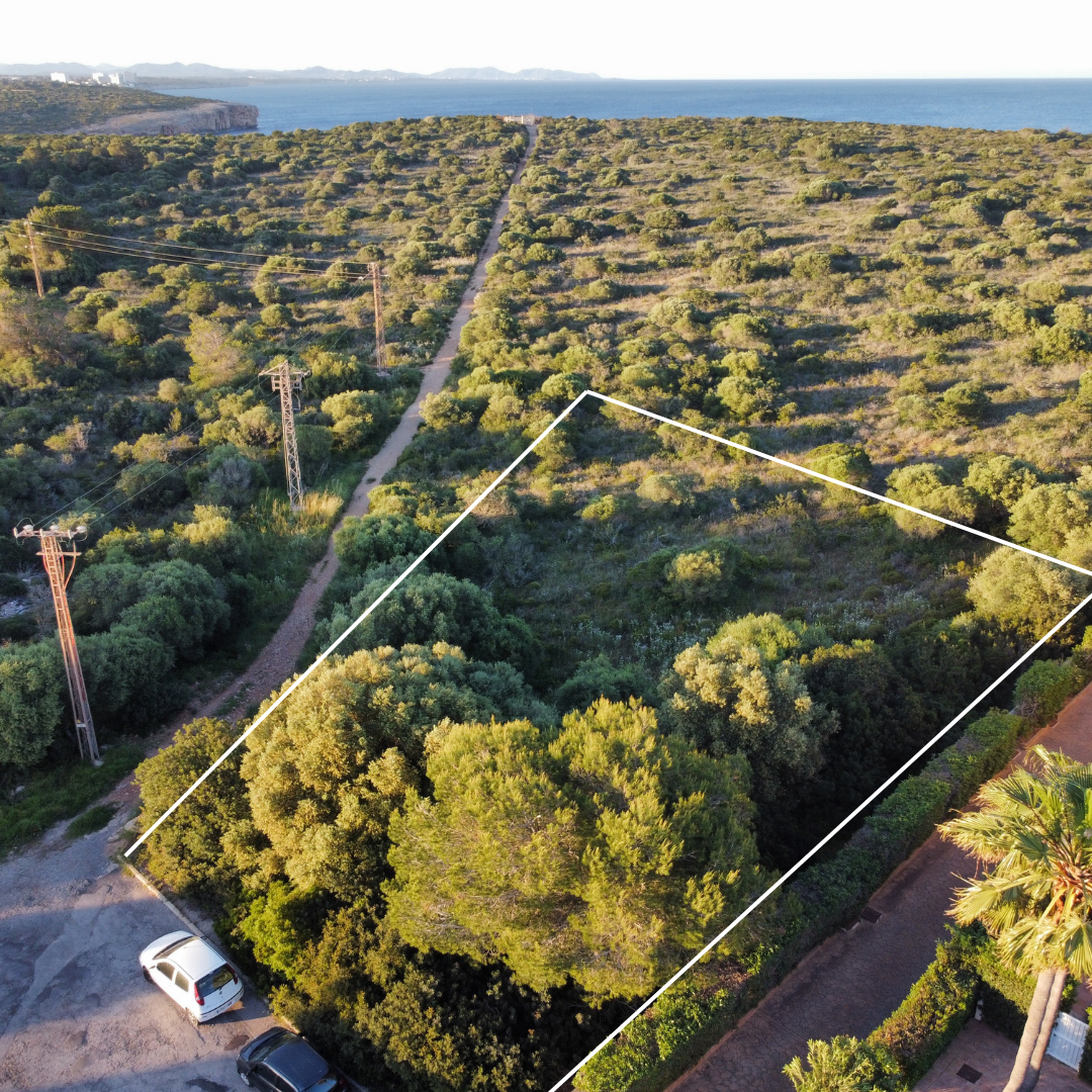 Dining and nature near Anderson West's investment land in southeast Mallorca