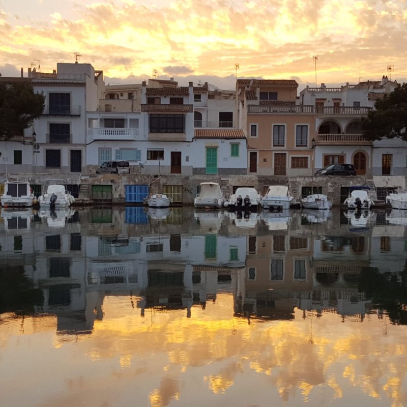 724dd1b7-9455-410e-9042-6df4250c0098 2 investments in mallorca 2025 let our team help you find land in portocolom